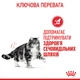 ПАК.Royal Canin Urinary Care Консервированный Корм Для Кошек Поддержание Здоровье Мочевыделительной Системы 12шт по 85г - изображение 13