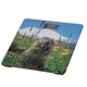 Умные весы с термометром 150 кг Ardesto Marmot - изображение 3