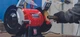 Диск-щітка до верстату Einhell TC-BG 150 B, діаметр 150мм, 0.4кг - изображение 3
