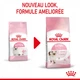 Сухой корм для кошек Royal Canin KITTEN для котят 2кг - изображение 1