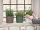 Пластиковий вазон Teraplast Capri 24 Green Hay (38711024281) - зображення 3