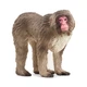 Японський макак Schleich 14871 - изображение 1