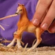 Арабське лоша Schleich 13984 - изображение 2