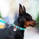 Водостойкий поводок Collar Waudog Waterproof, L-XXL, Ш 20 мм, Д 305 cм светится в темноте - изображение 3