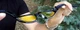 Окуляри захисні фотохромні Global Vision Hercules-7 Photochromic (clear) прозорі фотохромні - зображення 7