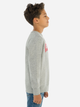 Підлітковий світшот для хлопчика Levi's Lvb-Batwing Crewneck Sweatshirt 9E9079-C87 146-152 см Сірий (3665115046144) - зображення 4