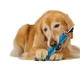Игрушка для собак OutwardHound Orka Stick, 31 см - изображение 2
