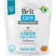 Корм для молодых собак крупных пород Brit Care Dog Grain-free Junior Large Breed беззерновой с лососем, 1 кг - изображение 1