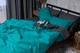 Комплект постельного белья Moon&Star Бязь Gold Люкс Gray Green King Size 220x240 см наволочки 2х50х70 см (MS-820002684) - изображение 6
