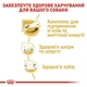 Сухой корм Royal Canin Jack Russell Terrier – корм для Джек-Рассел-терьеров от 10 мес., 1.5 кг (21000159) - изображение 4