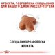 Сухой корм Royal Canin Jack Russell Terrier – корм для Джек-Рассел-терьеров от 10 мес., 1.5 кг (21000159) - изображение 5