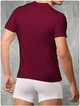 Мужская бордовая футболка Doreanse 2550 claret red размер XL - изображение 2