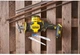 Пила сабельная аккумуляторная Stanley Fatmax SFMCS305B - изображение 7