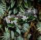 Портативная Bluetooth колонка с подсветкой Borofone BR13 (camouflage) - изображение 3