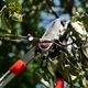 Сучкоріз садовий для обрізки гілок з храповим механізмом 740 мм INTERTOOL FT-1114 - зображення 7