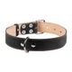 Ошейник "CoLLaR" двойной (ширина 35мм, длина 48-63см) черный - изображение 2