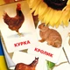 Карточки Домана ''Домашние животные'' на украинском языке, в наборе 15 карточек - изображение 1