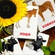 Карточки Домана ''Домашние животные и их детеныши'' на украинском языке, в наборе 16 карточек - изображение 3