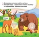 Кенгуру Мои первые наклейки. 2+ Помоги малышу найти мамочку. 22 наклейки КН877003У 9789667488642 - изображение 2
