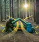 Двомісний намет Naturehike Force UL 2 зелений NH20ZP080 - изображение 4
