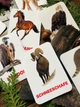 Карточки Домана ''Животные Северной Америки'' на немецком языке, в наборе 15 карточек - изображение 2