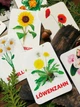 Карточки Домана ''Цветы'' на немецком языке, в наборе 24 карточек - изображение 2