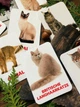 Карточки Домана ''Породы кошек'' на немецком языке, в наборе 32 карточек - изображение 2