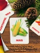 Карточки Домана ''Овощи'' на немецком языке, в наборе 24 карточек - изображение 1