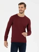 Джемпер мужской Pierre Cardin G021SZ0TK-000-1514729(bordo) M Бордовый (8682733837461) - изображение 1