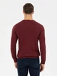 Джемпер мужской Pierre Cardin G021SZ0TK-000-1514729(bordo) M Бордовый (8682733837461) - изображение 2