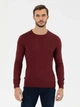Джемпер мужской Pierre Cardin G021SZ0TK-000-1514729(bordo) M Бордовый (8682733837461) - изображение 4