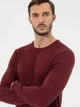 Джемпер мужской Pierre Cardin G021SZ0TK-000-1514729(bordo) M Бордовый (8682733837461) - изображение 5