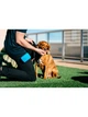 Контейнер для ласощів Dexas Pooch Pouch з кліпсою на пояс для тренувань, блакитний - зображення 7