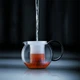 Чайник френч-пресс Bodum Assam 0.5 л 1842-01GVP - изображение 6