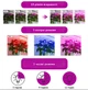Гнучка світлодіодна фітолампа ультрафіолетова 2 голови Grow Light для квітів орхідей рослин мікрозелені повний спектр фіто лампа на прищіпці від USB - зображення 4