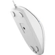 Миша A4Tech N-530 (White) USB - изображение 9