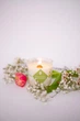 Ароматична свічка Turbota candles Зелений чай і довга подорож 145 г 9 см - зображення 2