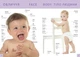 Перша книга малюка. Baby's first book. Гуменна Л.М. (9789669353108) - зображення 6