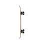 Лонгборд гибрид Arbor Crosscut Axel Serrat Pro 39" (smj531) - изображение 5