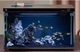 Умный автономный аквариум ver.2 Xiaomi Mijia Smart Fish Tank MYG100 20 литров - изображение 2