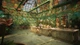 Ключ активации Garden Life: A Cozy Simulator для Xbox One/Series S/X - изображение 3
