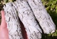 Каліфорнійська біла шавлія White Sage для обкурювання пучок 10 см 30-40 г - зображення 4