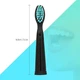 Сменная насадка к зубной щетке SEAGO SG-507/551/949 Rechargeable Sonic Black (1 шт) - изображение 3
