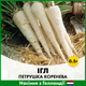 Голландське Насіння кореневої петрушки Bejo Ігл, 0.5 г - зображення 1