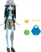 Кукла Monster High Scare-adise Island Frankie Stein - Монстер Хай Фрэнки Штейн (Остров страха) HRP68 - Игровой набор Mattel - изображение 2