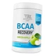 Аминокислоты ВСАА Bodyperson Labs BCAA Recovery 500г - изображение 2