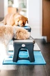 Миска двойная для животных Dexas Adjustable 2хPet Feeder со стали с регулируемыми ножками 960 мл (PW120432SS) - изображение 8