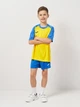 Подростковая футболка для мальчика Joma Teamwork 102218.907 141-152 см Желто-Синяя (8445456571391) - изображение 2