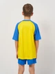 Подростковая футболка для мальчика Joma Teamwork 102218.907 141-152 см Желто-Синяя (8445456571391) - изображение 3