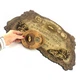 Античная спиритическая доска OUIJA на английском языке 34909B - изображение 3